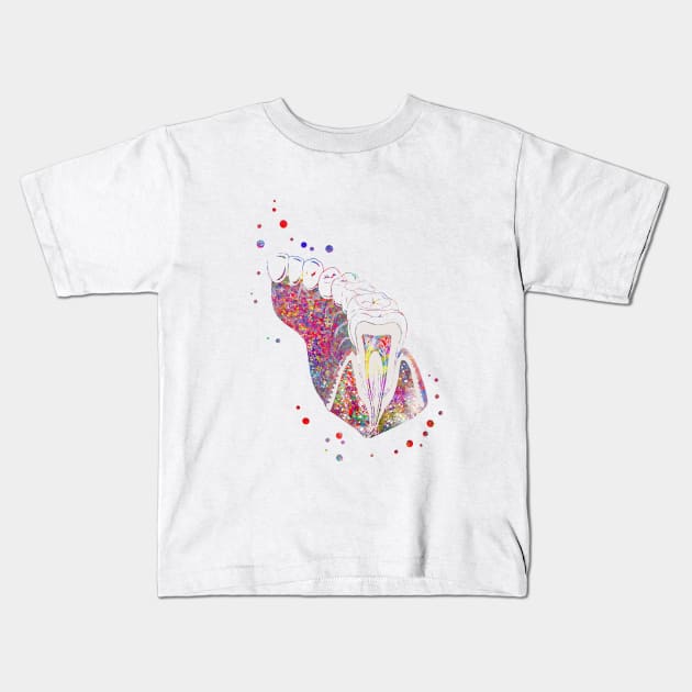 Molar tooth section Kids T-Shirt by RosaliArt